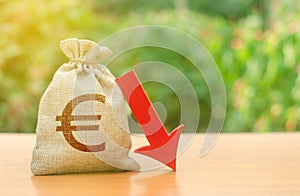 Money bag with Euro symbol and red arrow down. Reduced profits and liquidity of investments. Reduced tax revenues, economic