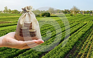 Money bag and farm field background. Lending and subsidizing farmers. Grants, financial support. Agribusiness profit . Land value