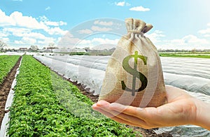 Money bag in hand on farm field background. Lending and subsidizing farmers. Grants and financial support photo