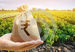 Money bag in the hand of the farmer on the background of agricultural crops. Profit from agribusiness concept. Agricultural
