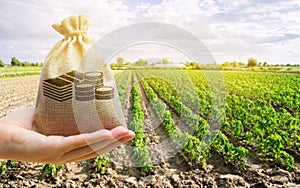 Money bag in the hand of the farmer on the background of agricultural crops. Profit from agribusiness concept. Agricultural photo