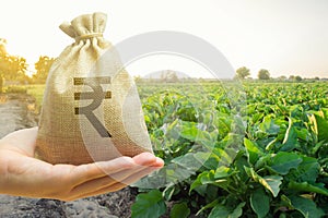 Money bag in the hand of the farmer on the background of agricultural crops. Profit from agribusiness concept. Aubergine.