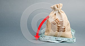 Money bag with red arrow down. The concept of reducing profits. Unprofitable business. Capital outflow. Report and financial photo