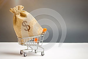 Money bag in supermarket trolley and dollar sign. Money Management. Money market. Sale, discounts and low prices. Gift certificate photo