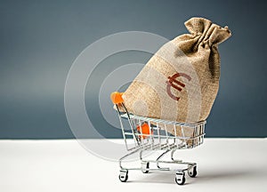 Money bag in supermarket trolley and euro sign. Money Management. Money market. Sale, discounts and low prices. Gift certificate