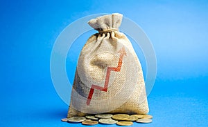 Money bag with up arrow. Successful business concept. Profitability and performance. Increase Income and Profit. Capital, budget