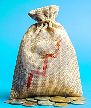 Money bag with up arrow. Successful business concept. Profitability and performance. Increase Income and Profit. Capital, budget