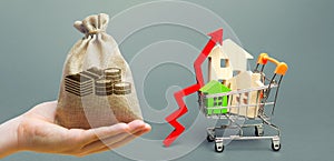 Money bag, wooden houses in a shopping cart and red arrow up. Real estate price growth concept. High demand for housing. Building