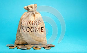 Money bag with the word Gross Income. Profits, wages, salaries, interest payments, rents before taxes. Concept of business and