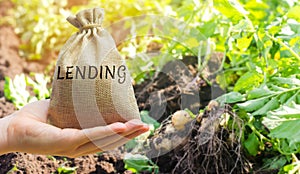 Money bag with the word Lending on the background of plantations. The concept of agricultural lending. Taking a loan for the