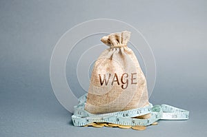 Money bag with the word Wage and tape measure. Wage cuts. The concept of limited profit. Lack of money and poverty. Small income.