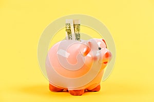 Money budget planning. Financial wellbeing. Economics and finance. Piggy bank pink pig stuffed dollar banknote cash