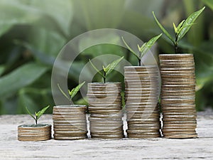 Money coin stack growing graph with white background, Business Finance and Money concept, investment and retirement or education