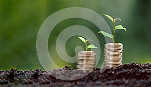 Money coin stack with seedling plant growing on green nature environment background. interest bank, business investment growth