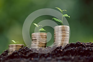 Money coin stack with seedling plant growing on green nature environment background. interest bank, business investment growth