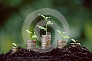 Money coin stack with seedling plant growing on green nature environment background. interest bank, business investment growth