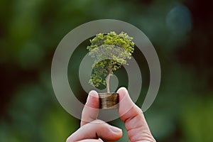Money coin stack with seedling plant growing on green nature environment background. interest bank, business investment growth