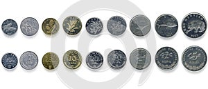 Money coins