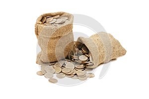 Money coins in bag