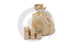 Money coins in bag