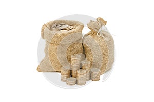 Money coins in bag