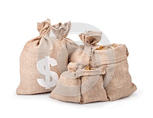 Money coins in bag