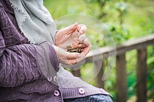 Money, coins, the grandmother on pensions and a concept of a living minimum - in hands of the old woman isn`t enough money photo