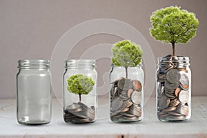 Money coins and tree growing in jar. Profit on deposit in bank and dividend for stock investment concept photo