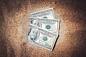 Money dolars half covered with sand lie on beach close-up.