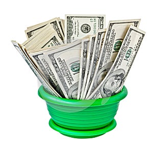Money dollar grows in a flowerpot isolated. png transparent