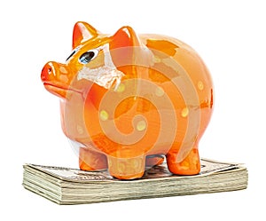 Money dollar with piggy bank isolated. Saving concept. png transparent