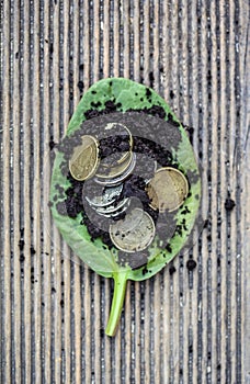 Money from the earth, greens, dolar and rubles