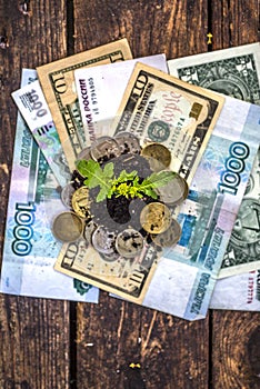 Money from the earth, greens, dolar and rubles