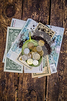 Money from the earth, greens, dolar and rubles