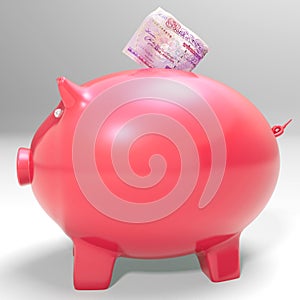 Money Entering Piggybank Shows Saving Incomes