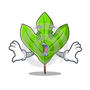 Money eye sassafras leaf in the shape cartoon