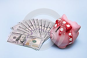 Money fanned out next to a piggy bank on a blue background