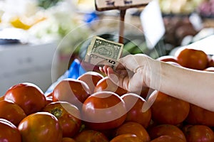 Money at the farmers market