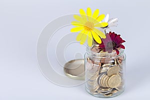 Money flowers in a glass jar full of euro coins