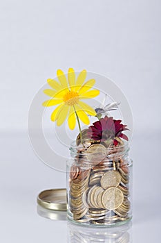 Money flowers in a glass jar full of euro coins