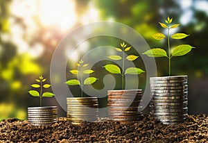 money growht in soil and tree concept , business success finance photo