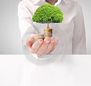 Money growing from coins in hand