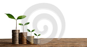 Money growing concept,Business success concept,Trees growing on pile of coins money ..Isolated background
