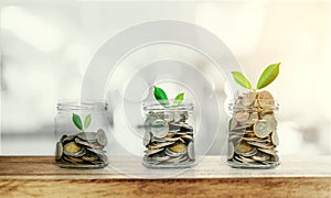 Money growing concepts, bottle of coins with growing plants on wooden table and Bokeh background, with sunlight