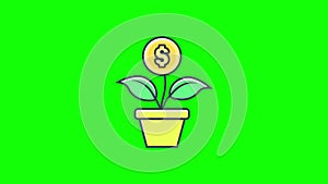 Money growing flower pot icon loop animation with alpha channel, transparent background, ProRes 444