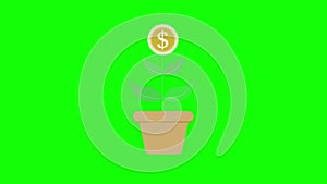 Money growing flower pot icon loop animation with alpha channel, transparent background, ProRes 444