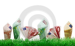 Money growing in grass