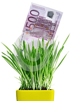 Money growing out of grass pot