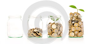 Money growing plant step with deposit coin in bank concept.