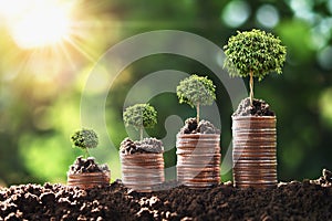 money growing step with tree and sunrise. concept finance  accounting